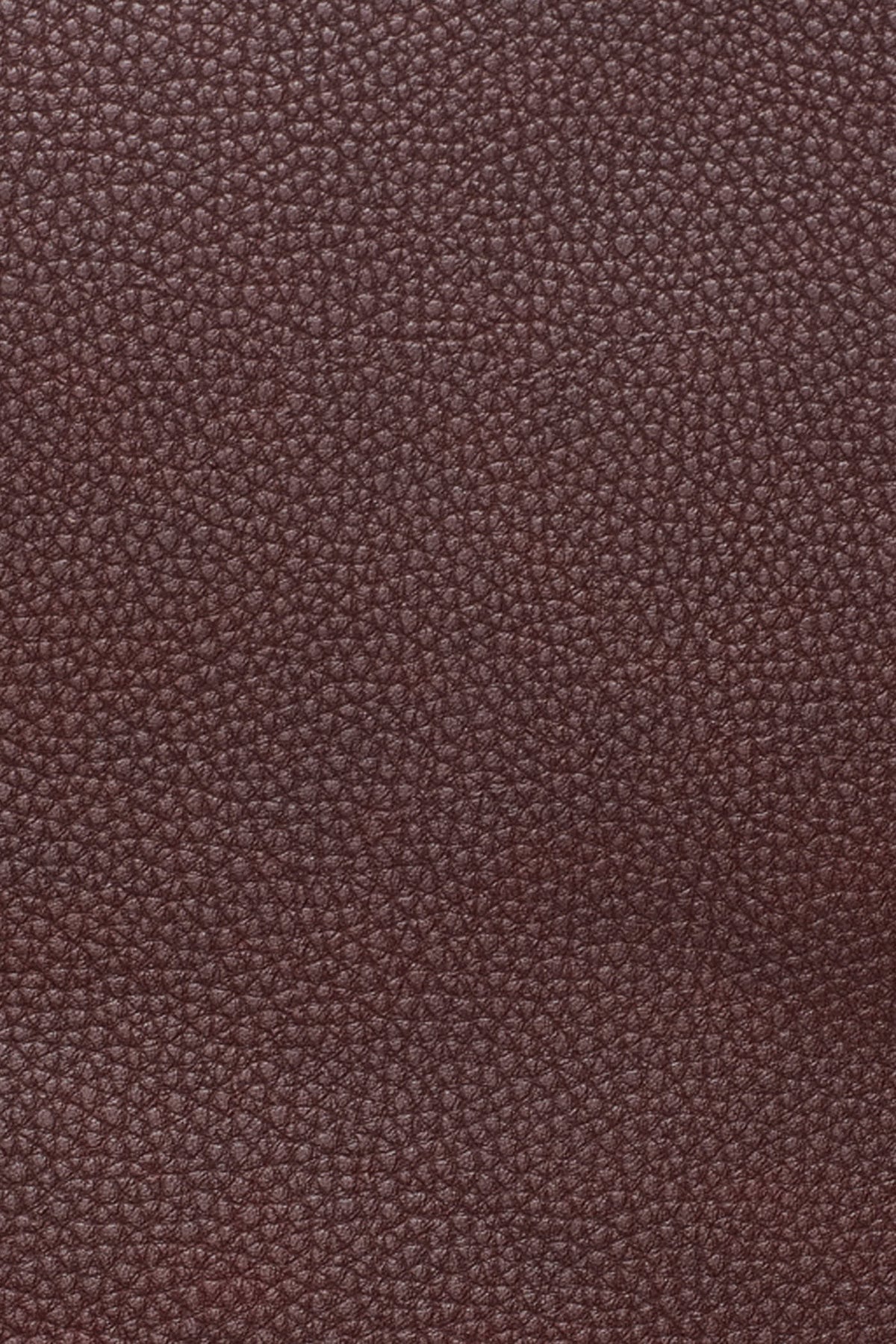 PAULA MEDIUM COMMUTER TOTE VIEW 2