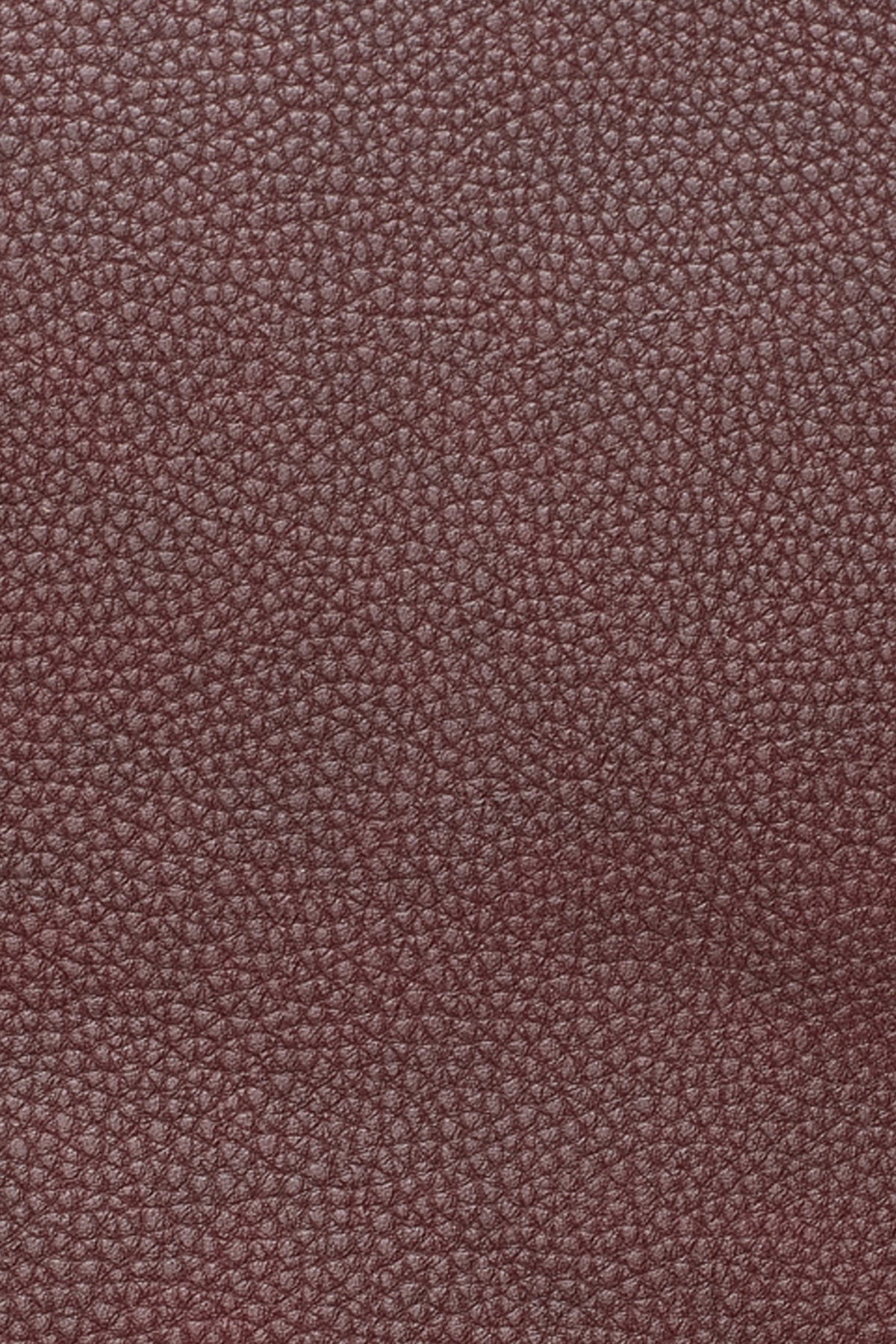 PAULA SMALL COMMUTER TOTE VIEW 2