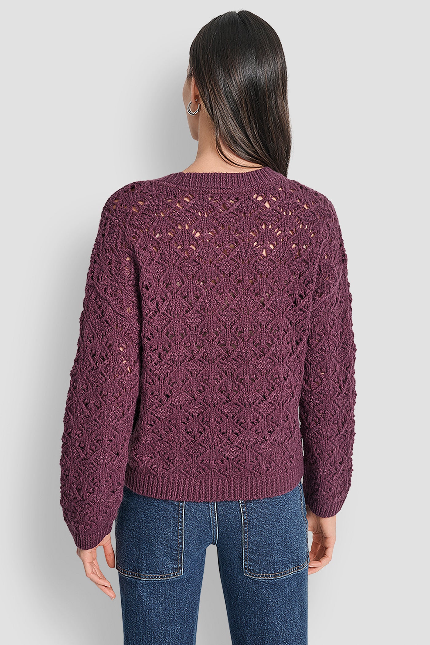 SYRAH POINTELLE STITCH LONG SLEEVE CREW NECK SWEATER, BACK VIEW | Clothing