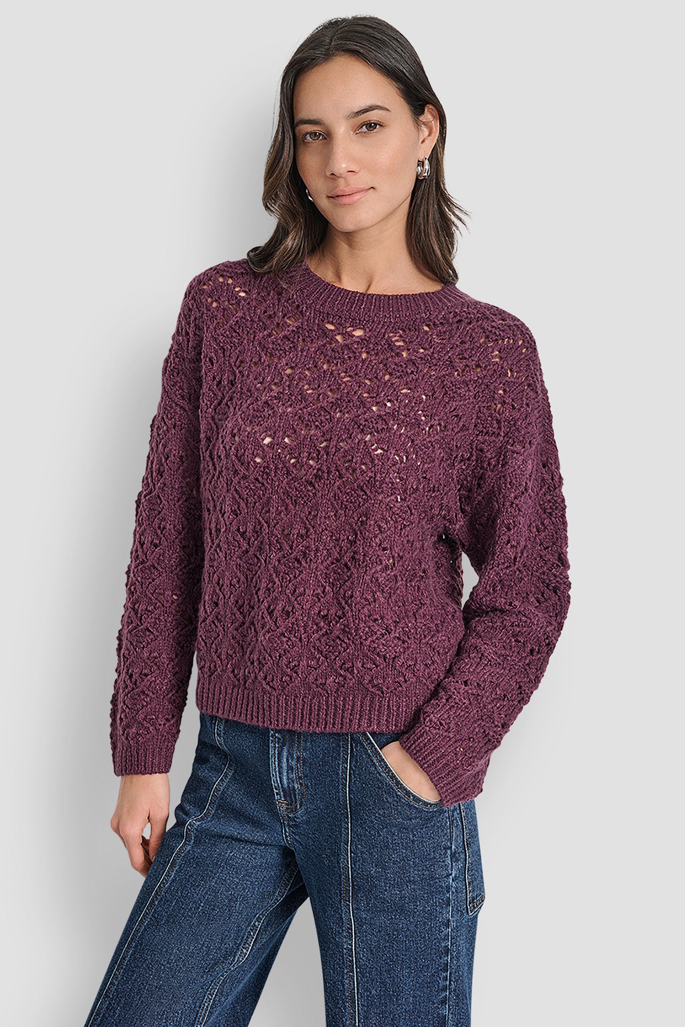 SYRAH POINTELLE STITCH LONG SLEEVE CREW NECK SWEATER, FRONT VIEW | Clothing