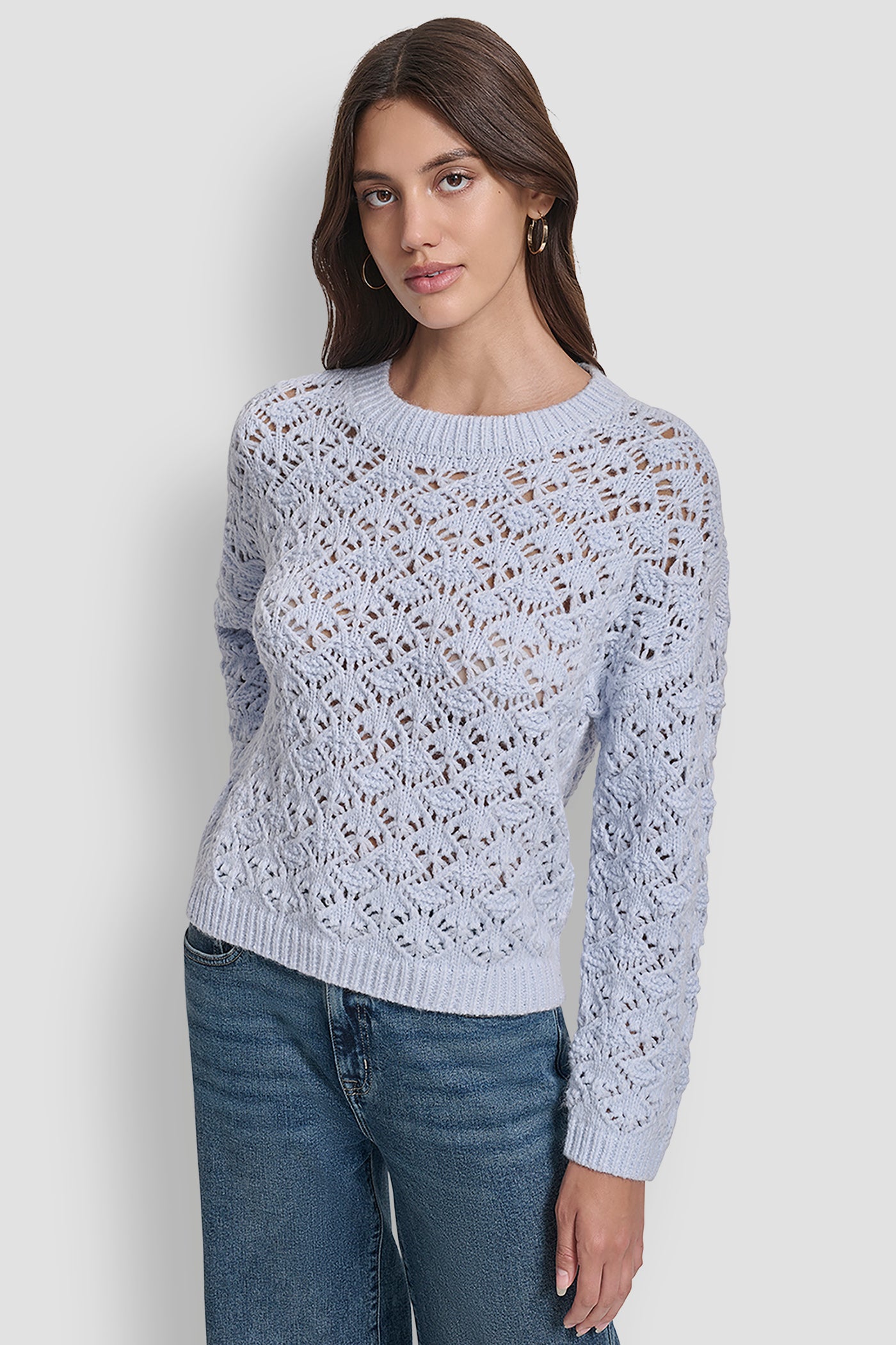 FROST BLUE POINTELLE STITCH LONG SLEEVE CREW NECK SWEATER, FRONT VIEW | New Arrivals