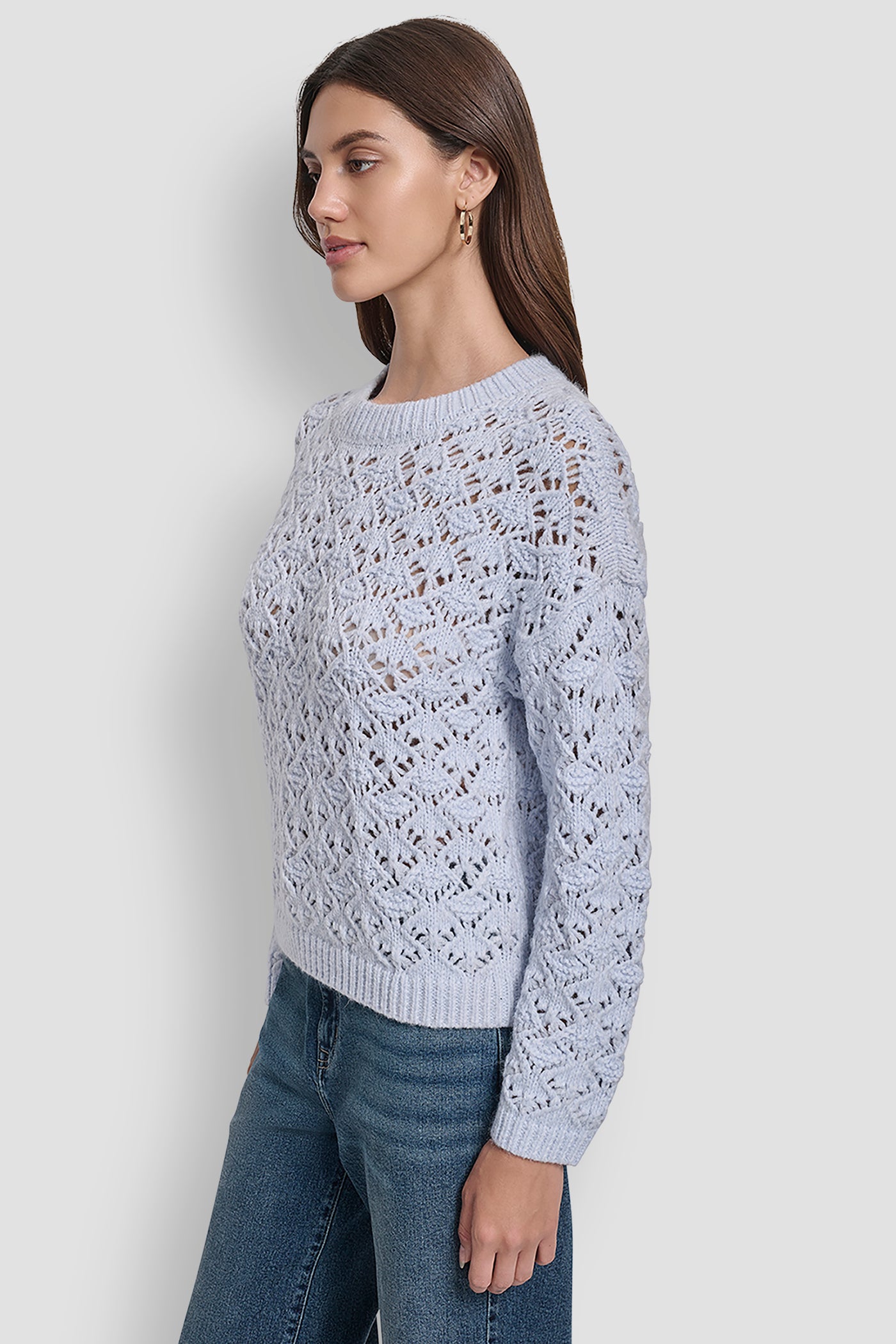 POINTELLE STITCH LONG SLEEVE CREW NECK SWEATER VIEW 3 | New Arrivals