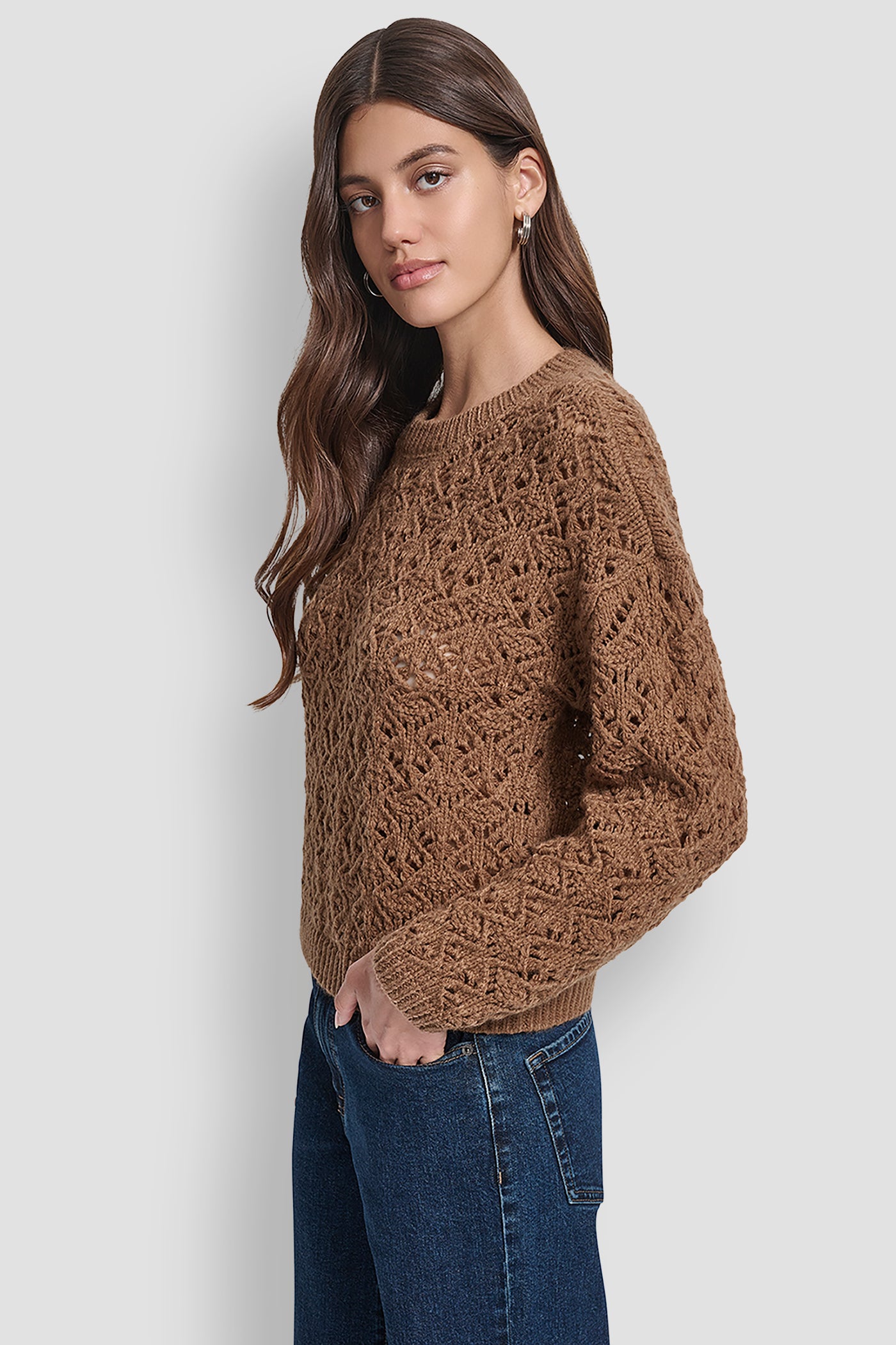 POINTELLE STITCH LONG SLEEVE CREW NECK SWEATER VIEW 3 | New Arrivals