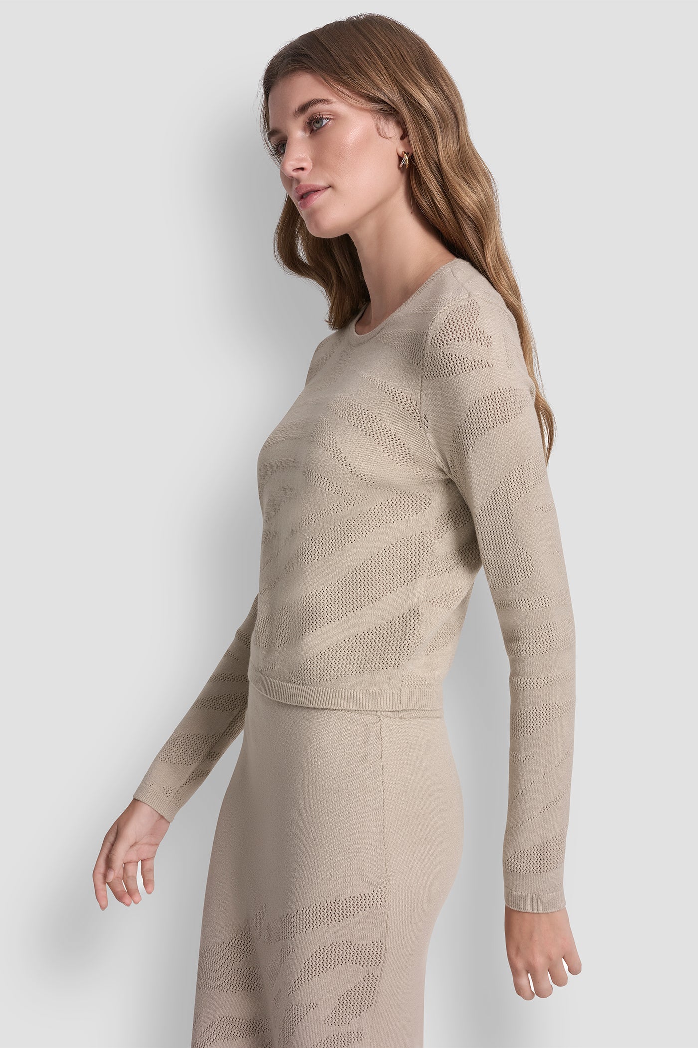 ZEBRA POINTELE SWEATER VIEW 4