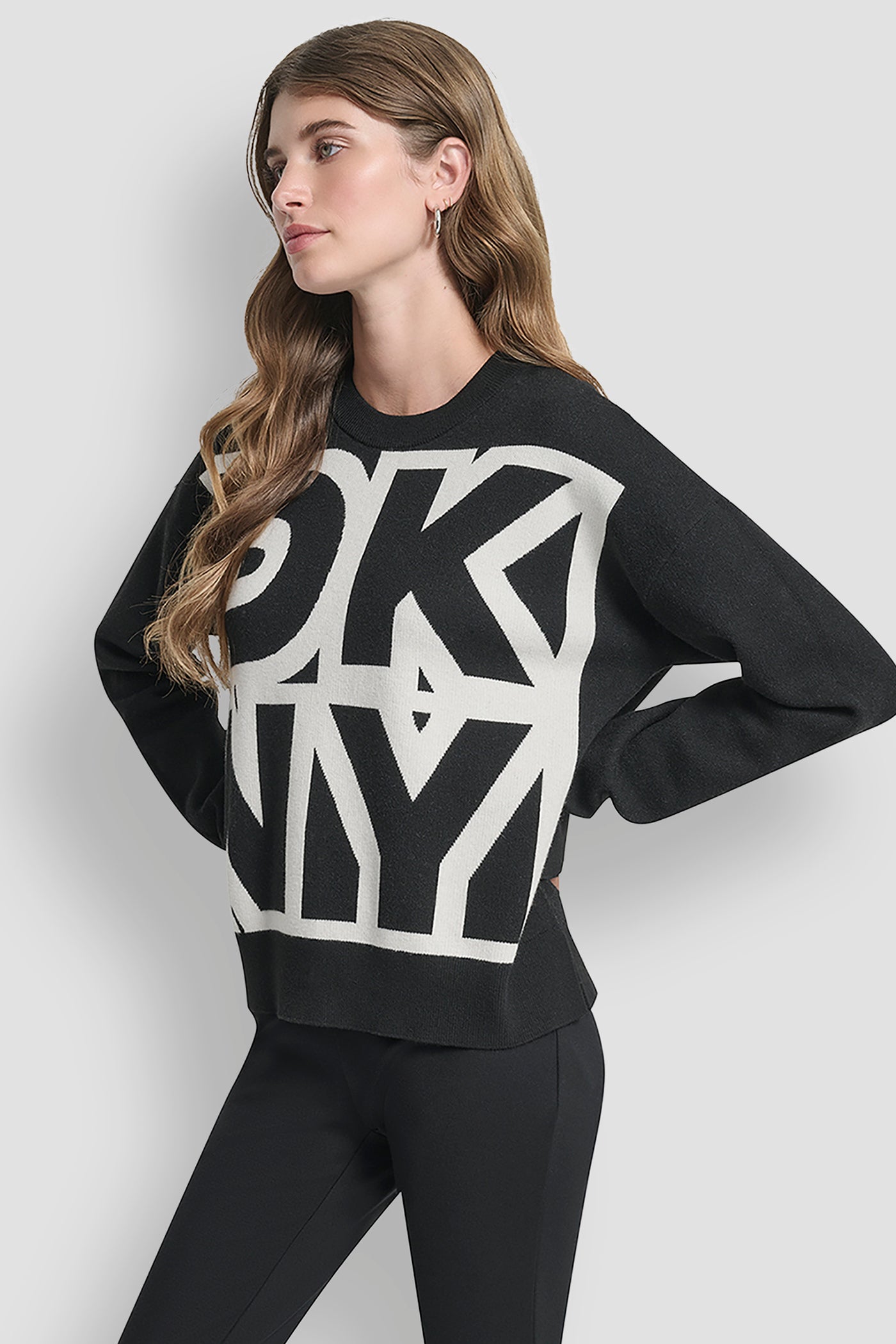 LONG SLEEVE LARGE COLORBLOCK LOGO SWEATER VIEW 3 | WOMEN'S SWEATERS & TOPS
