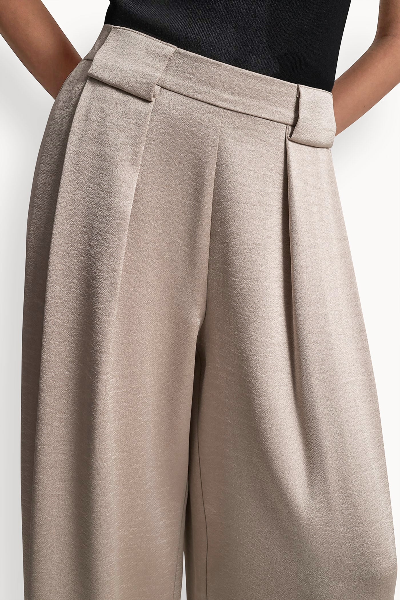 HIGH-RISE SATIN PLEATED WIDE LEG PANT VIEW 6 | Clothing